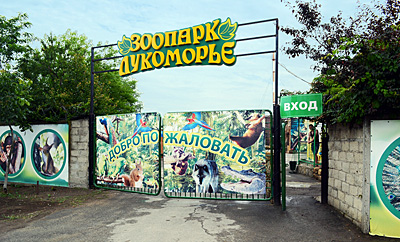 Зоопарк Лукоморье в Голубицкой